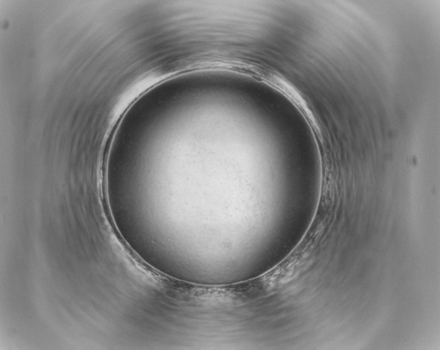 X0000086950811200704161452