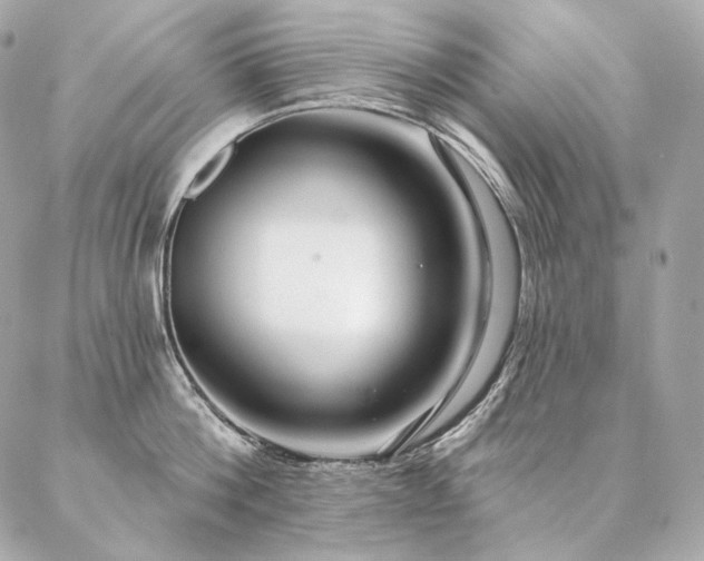 X0000086950812200704161452
