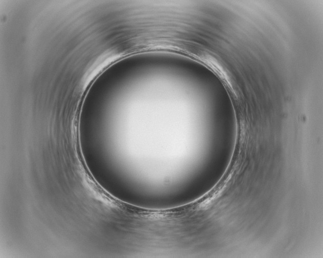 X0000086950814200704161452