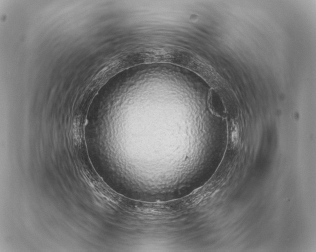X0000086950819200704161451
