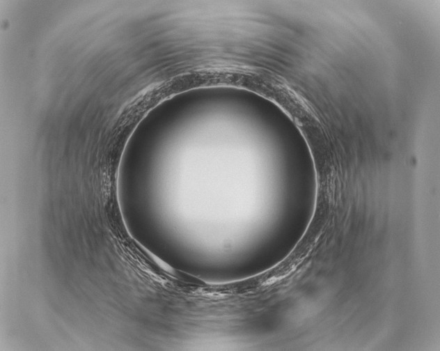 X0000086950821200704161451