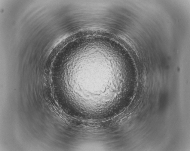X0000086950823200704161451
