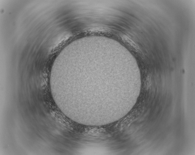 X0000086950824200704161451