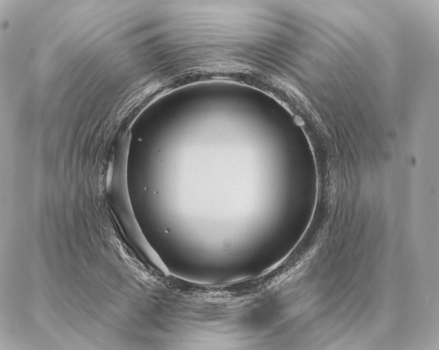 X0000086950833200704161451