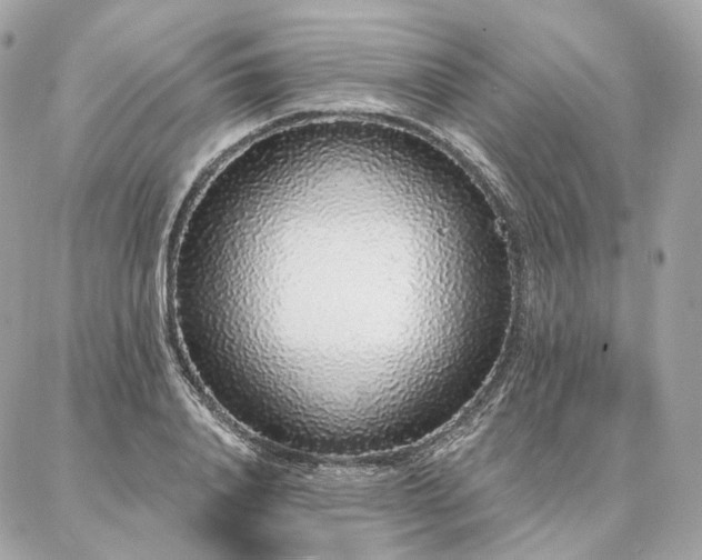 X0000086950840200704161452