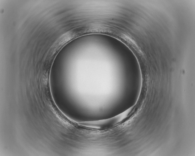 X0000086950841200704161452
