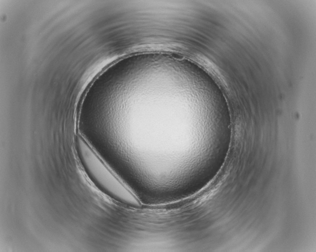 X0000086950844200704161452