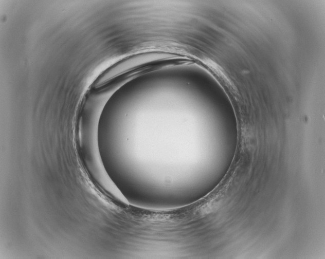 X0000086950846200704161452