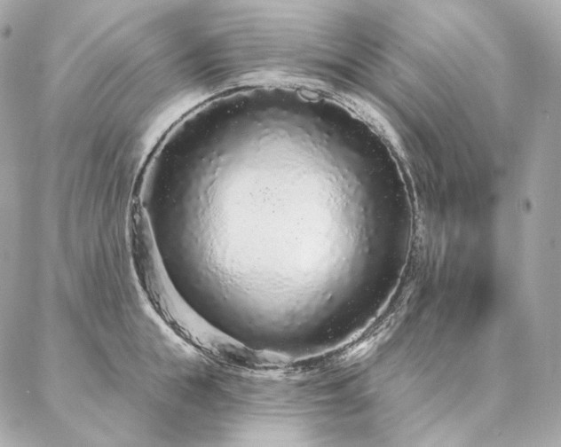 X0000086950855200704161452
