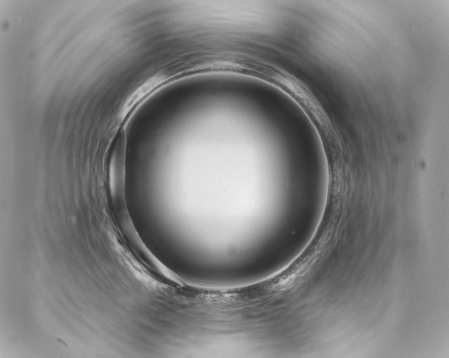 X0000086950858200704161452