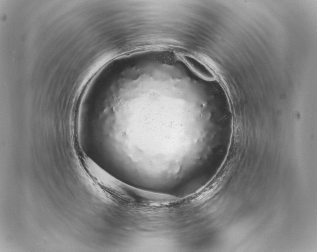 X0000086950859200704161452