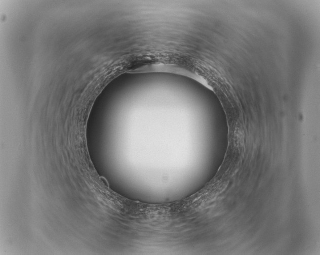 X0000086950865200704161451