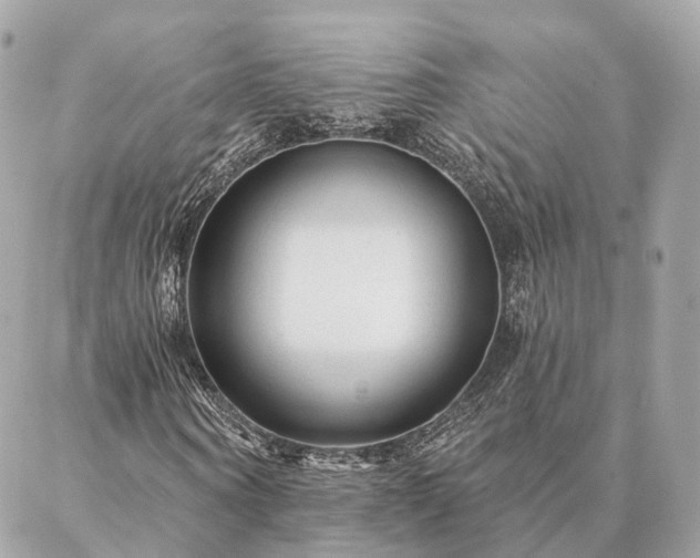 X0000086950866200704161451