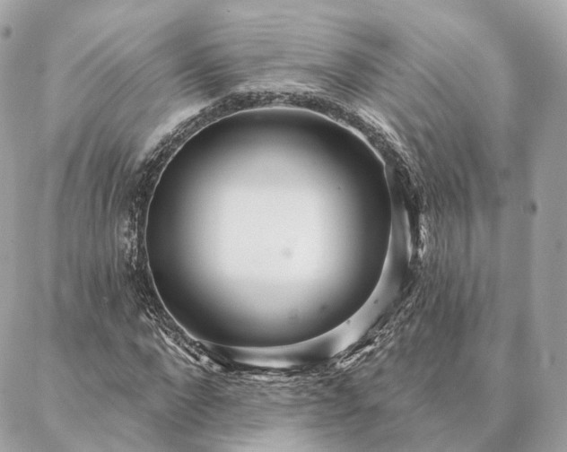 X0000086950872200704161451