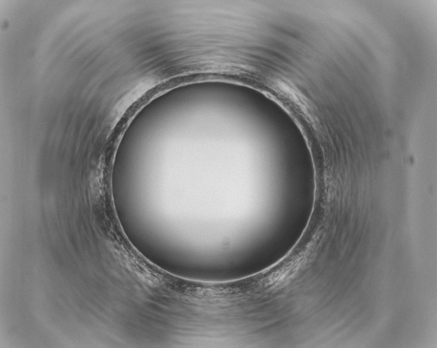 X0000086950875200704161451