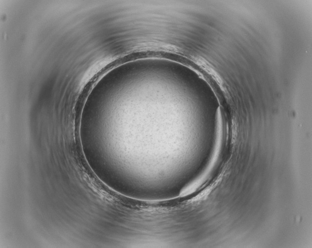 X0000086950877200704161451