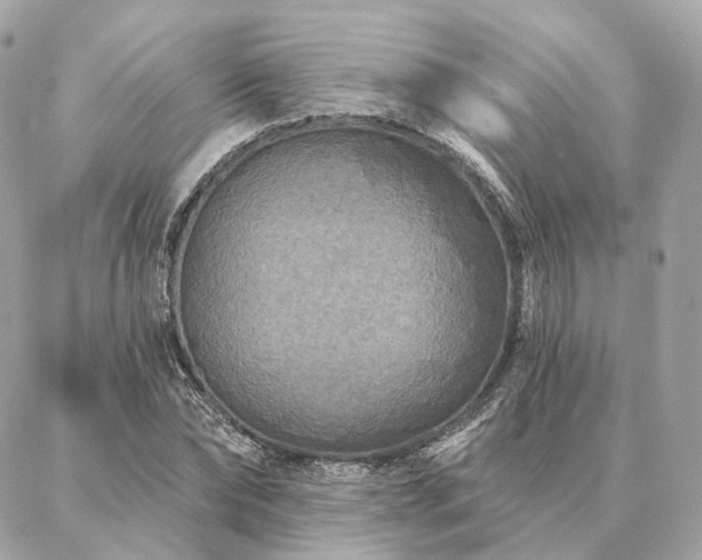 X0000086950878200704161451