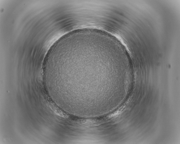 X0000086950879200704161451