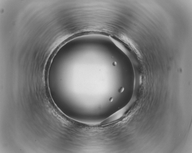 X0000086950884200704161451
