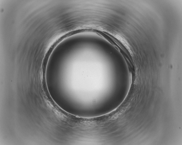 X0000086950888200704161451