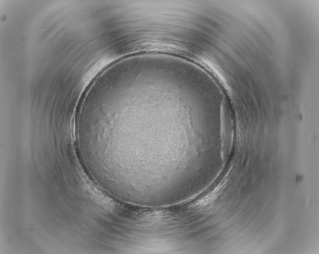 X0000086950891200704161451