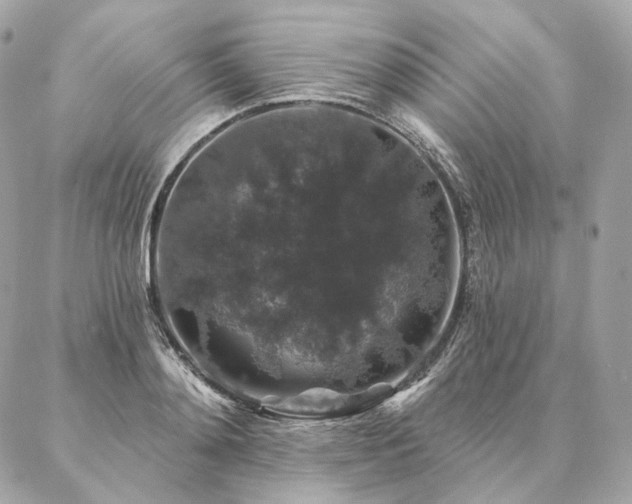 X0000086950892200704161451