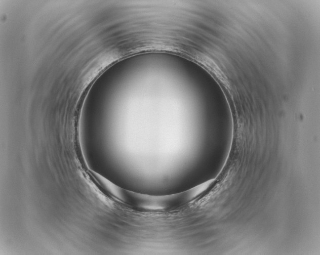 X0000086950898200704161451