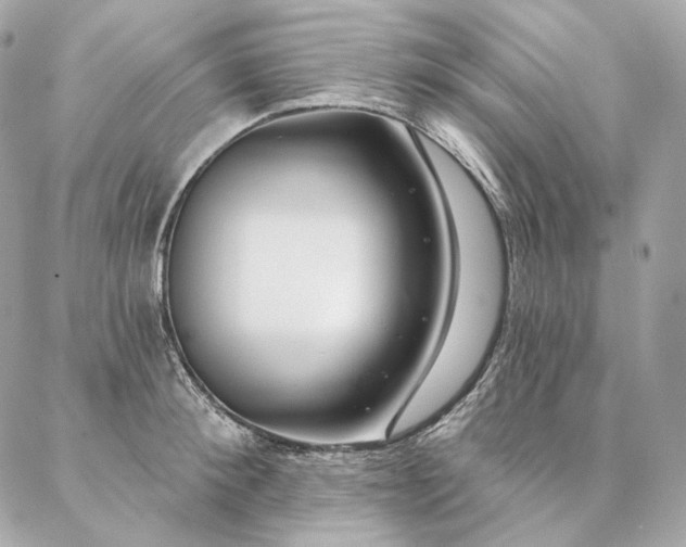 X0000086950900200704161451