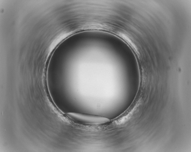 X0000086950901200704161451