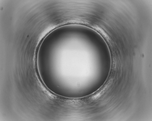 X0000086950902200704161451