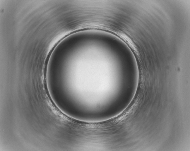 X0000086950904200704161451