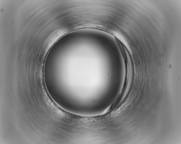 X0000086950906200704161451