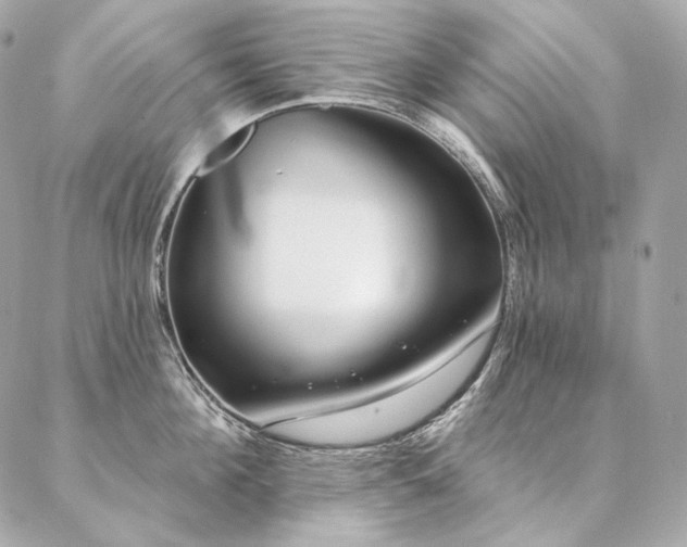 X0000086950908200704161450