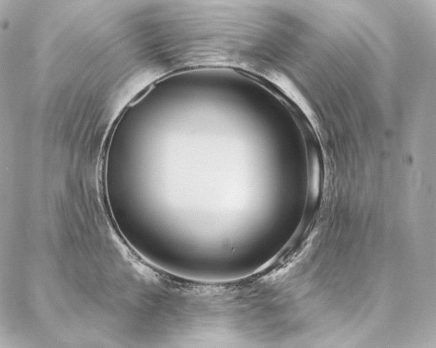 X0000086950909200704161450