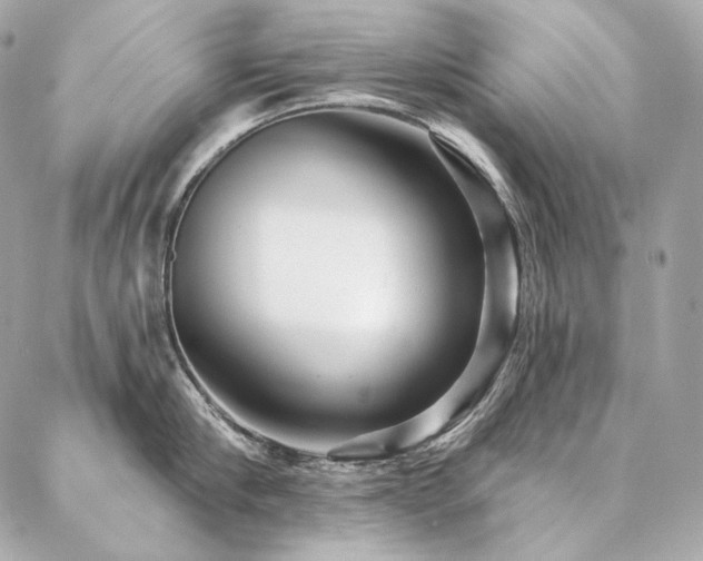 X0000086950910200704161450