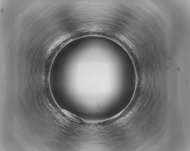 X0000086950922200704161450