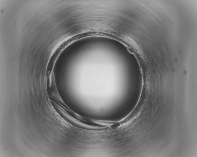 X0000086950924200704161450