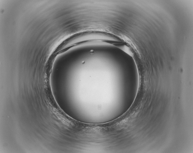 X0000086950926200704161450
