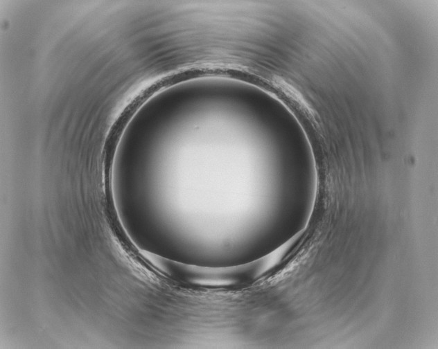 X0000086950934200704161450