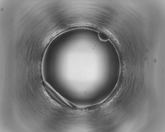 X0000086950937200704161450