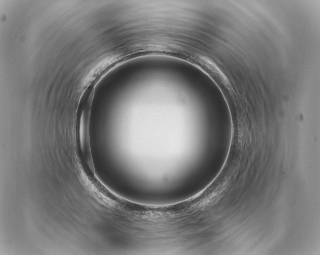 X0000086950938200704161450