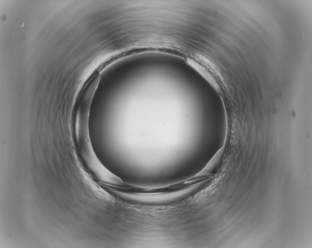 X0000086950942200704161450