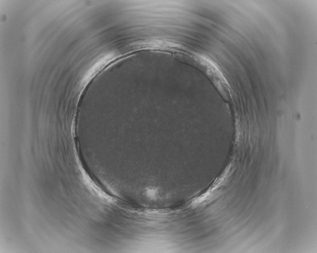X0000086950946200704161450