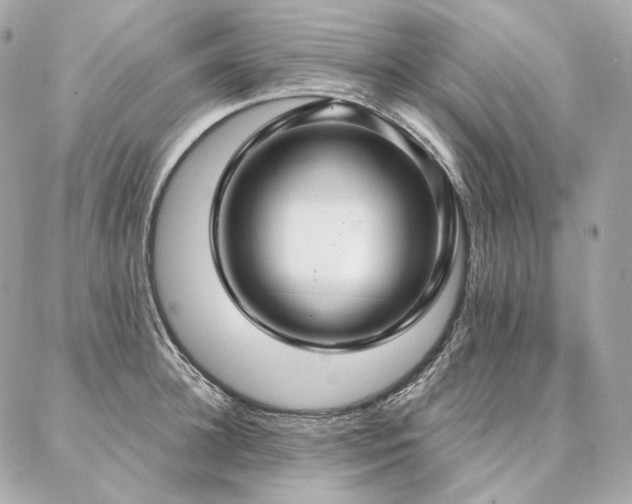 X0000086950948200704161450
