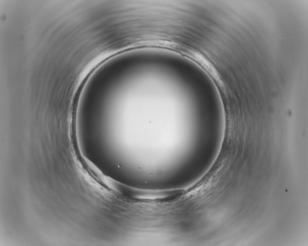 X0000086950955200704161450