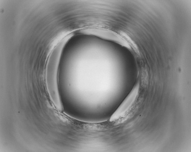 X0000086950956200704161450