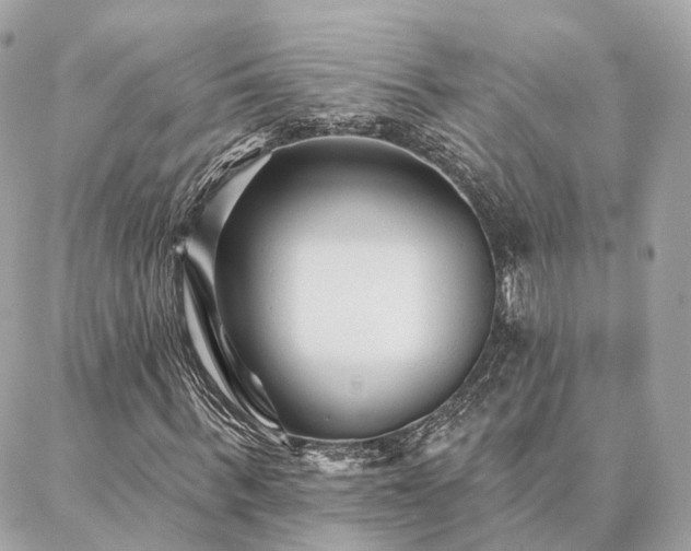 X0000086950963200704161450