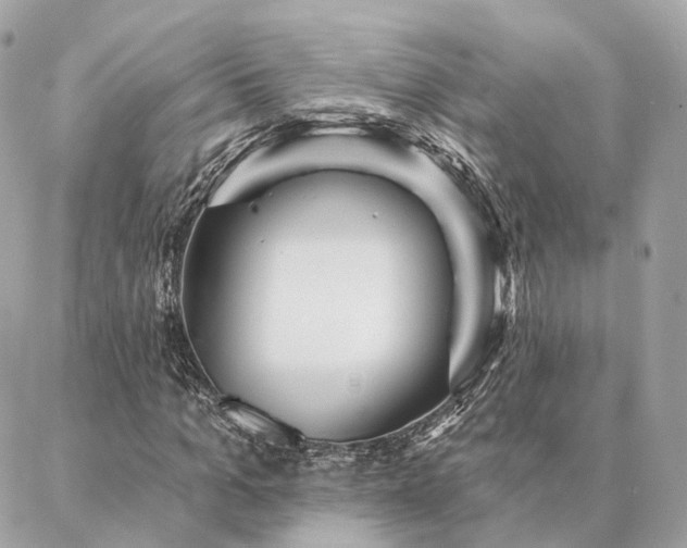 X0000086950965200704161450