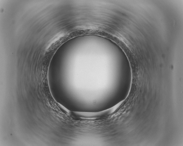 X0000086950967200704161450