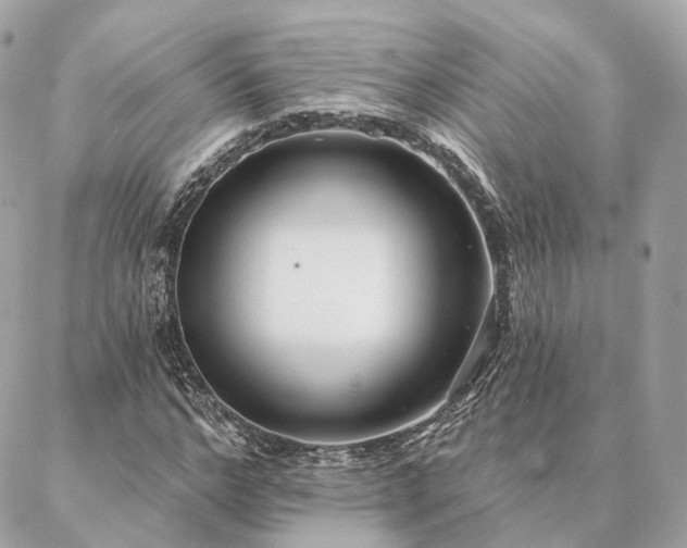 X0000086950968200704161449